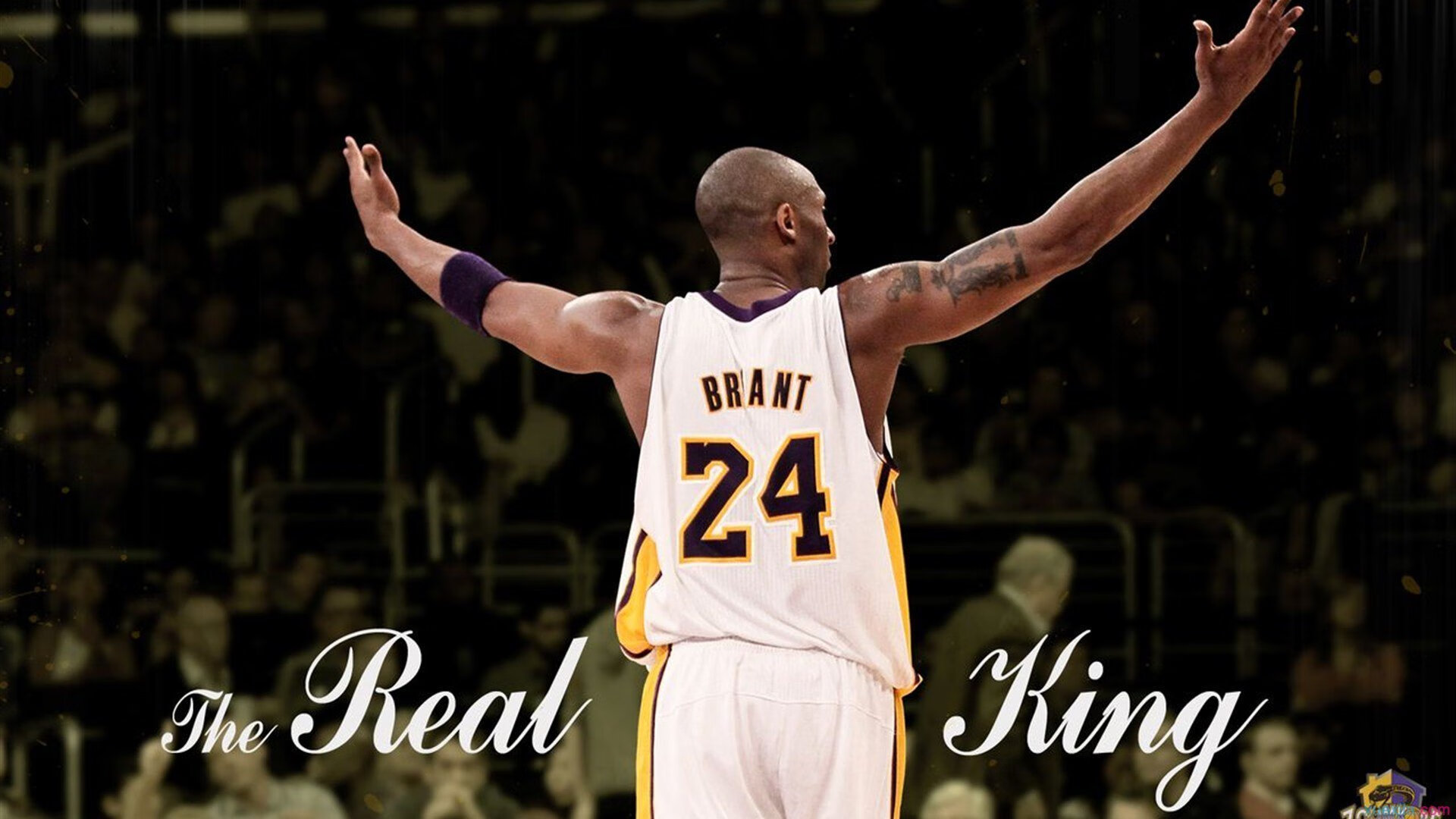 NBA球队防守战术演变趋势，nba防守战术大全