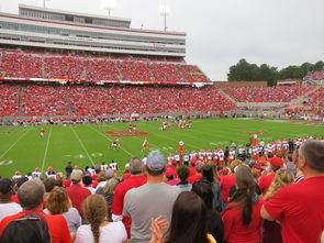 中国足球国家队集训期间注重团队协作培养，中国足协公布的国足集训名单